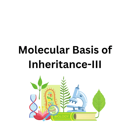 Molecular Basis of Inheritance-III